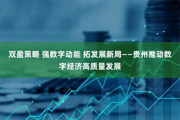 双盈策略 强数字动能 拓发展新局——贵州推动数字经济高质量发展